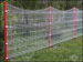 Garden Fencings