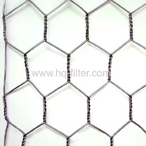 Galvanized Hex Wire Netting