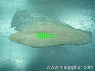 pangasius Fillet