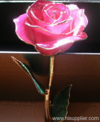 24k gold plated dipped rose