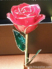 Valentine's Day Gift /24k gold rose/real rose