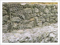 Gabion Box