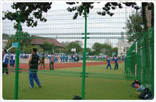 Stadium Fences