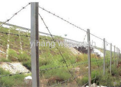 Barbed Wire Mesh