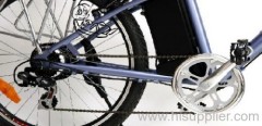 Mountain E-Bike