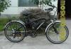 electric mountain bike