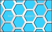 Perforated Metal Mesh