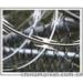 Galvanized Iron Barbed Wires