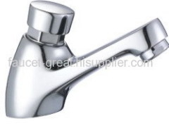 Time delay Push Handle faucet