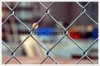 chain link fence