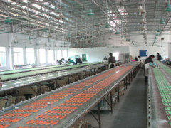 Qingxin xinglong Sports Goods Factory