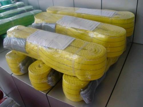 Polyester Webbing Sling Endless type