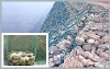 gabion wire mesh