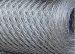 hexagonal wire cloth