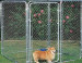 Zoo Security Fencing