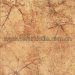 Glazed Floor Tile, Glazed Ceramic Tile