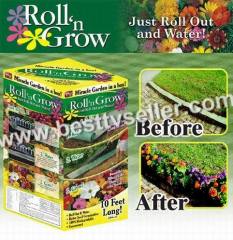 Roll N Grow Plant Flowers