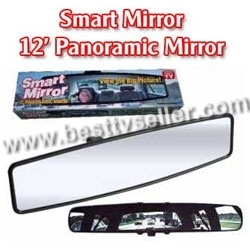 12" Panoramic Mirror