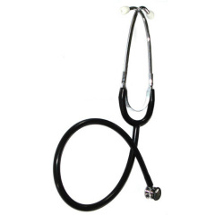 Dual head stethoscope