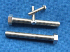 stainless steel hexagon bolt