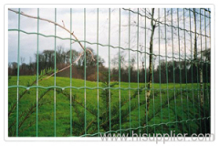 Black euro welded fence