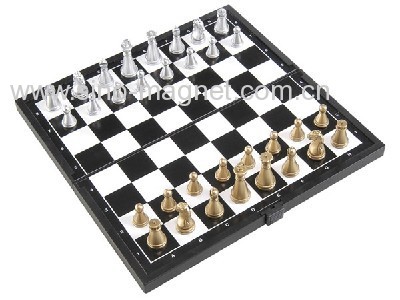 Magnetic Chess 2 In 1