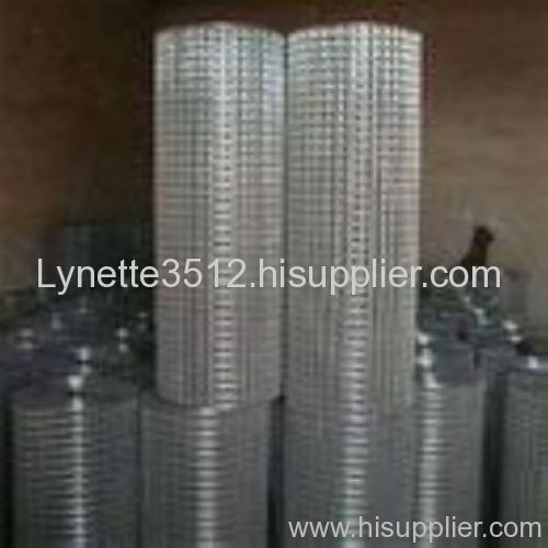 galvanized welde wire net