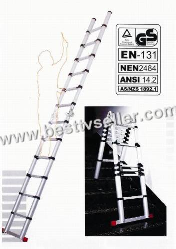 Fold Telescopic Ladder