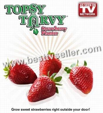 Topsy Turvy Strawberry Planter