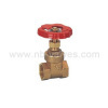 Brass gate valve