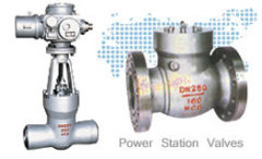 Power Station Valves