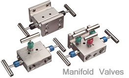 Manifold valves .