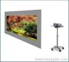 Rear Projection Screens