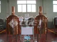 300L hotel beer brewing equipment