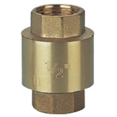 Check Valve