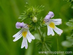 Eyebright Extract