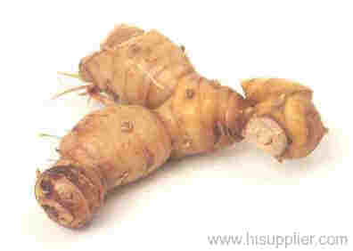 galangal Root extract