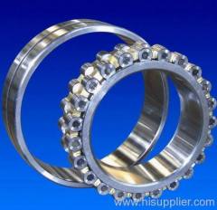 Double Row Cylindrical Roller Bearings