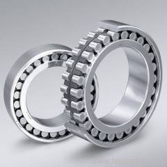 Double Row Cylindrical Roller Bearings