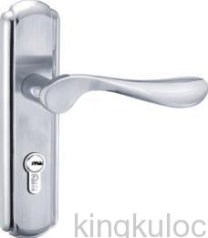 Stainless Steel Door Lock