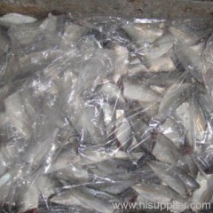 Horse Mackerel HGT