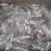 Horse Mackerel HGT