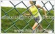 Hillside Chain Link Fence