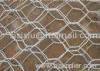 hexagonal wire mesh