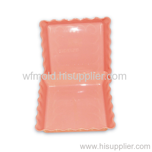 plastic mould for the plate
