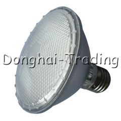 Common LED Spotlight