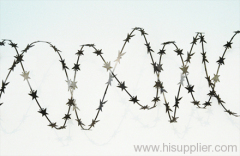 barbs wire