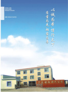 China Shaoshi Surpassing Clutch Manufacturing Co., Ltd.  King lily machinery CO., LTD.