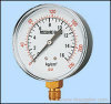S type pressure gauge