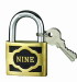 cast brass padlock